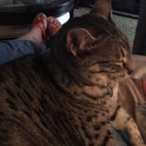 Meet your Posher, Nancy